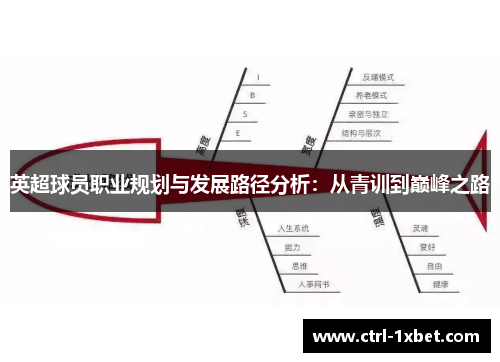 英超球员职业规划与发展路径分析:从青训到巅峰之路 英超球员职业规划与发展路径分析:从青训到巅峰之路