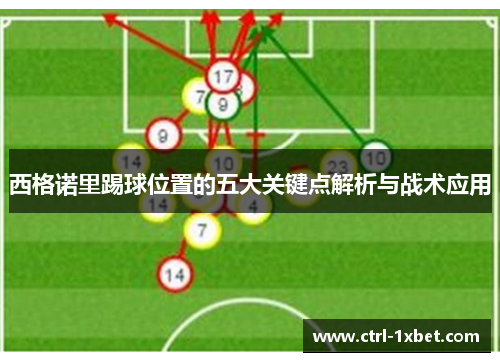 西格诺里踢球位置的五大关键点解析与战术应用