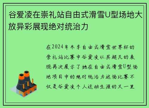 谷爱凌在崇礼站自由式滑雪U型场地大放异彩展现绝对统治力 谷爱凌在崇礼站自由式滑雪U型场地大放异彩展现绝对统治力