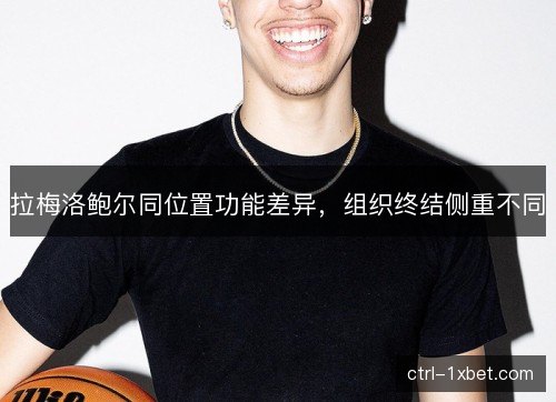 拉梅洛鲍尔同位置功能差异，组织终结侧重不同